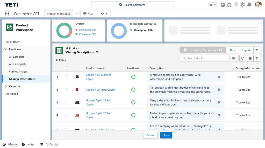 Screenshot of dynamic product descriptions showcased in Commerce GPT Cloud